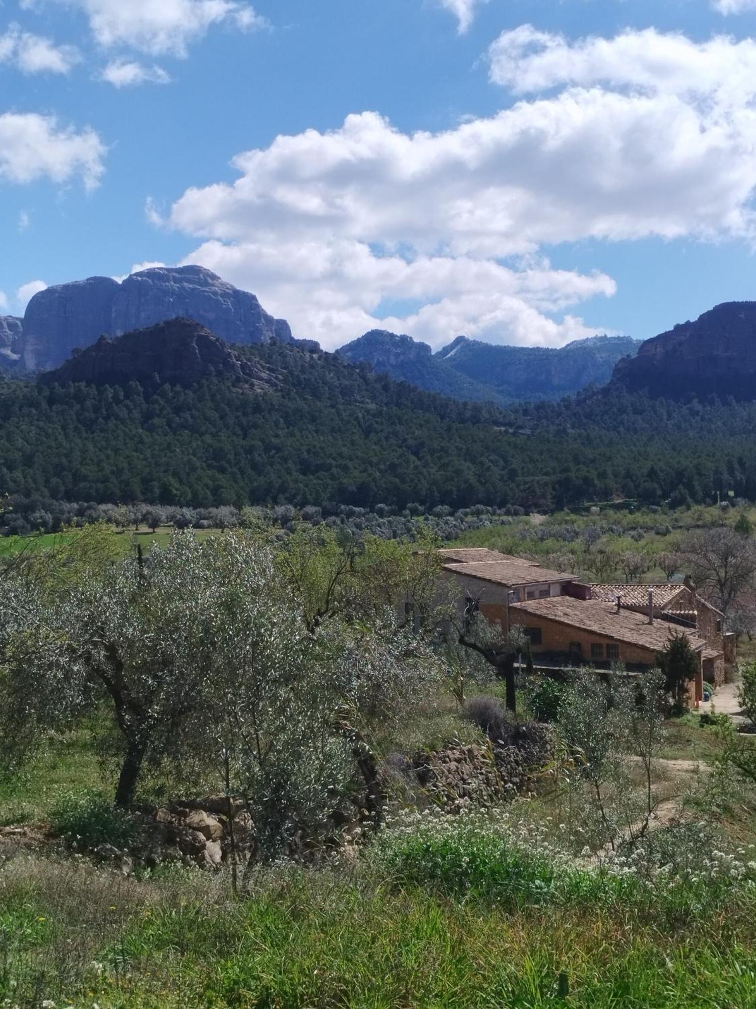 Mas De Manresa Horta de Sant Joan Exterior foto