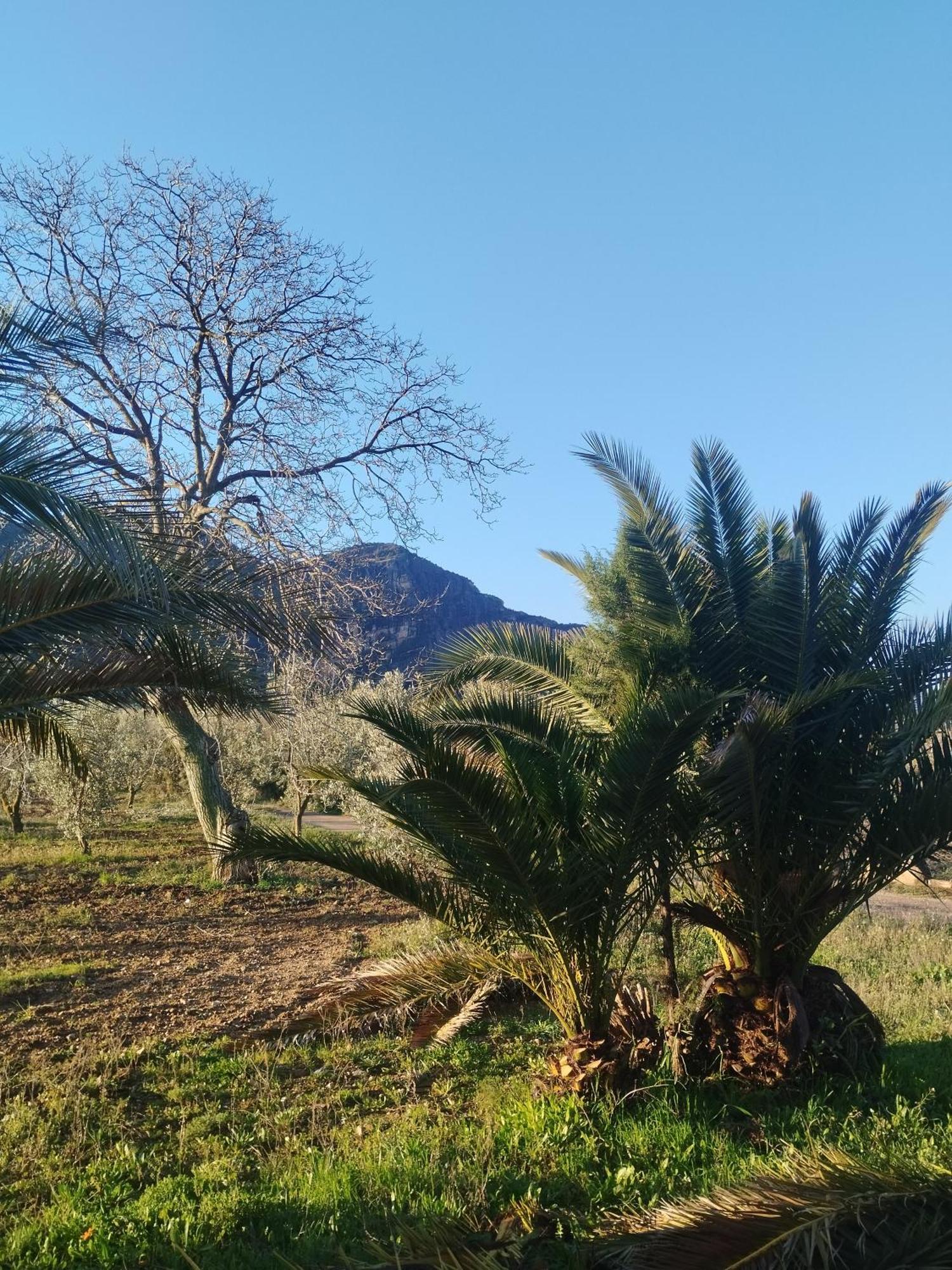 Mas De Manresa Horta de Sant Joan Exterior foto